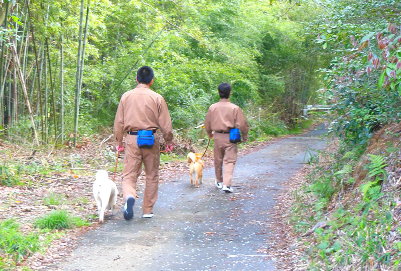 地域パトロールの様子