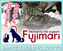 動物共生支援活動 WLSフジマリ